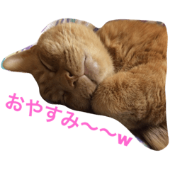 [LINEスタンプ] 龍くん