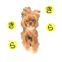 [LINEスタンプ] キャバず