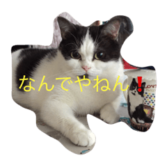[LINEスタンプ] トム＆リリ