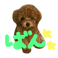 [LINEスタンプ] ばんちゃん⓵