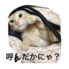[LINEスタンプ] うちのみにら