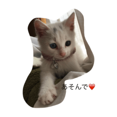 [LINEスタンプ] レオちゃんの毎日