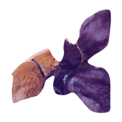[LINEスタンプ] 猫の可愛いすたんぷ