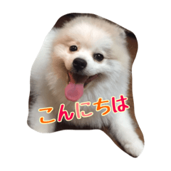 [LINEスタンプ] 豆大福のスタンプ