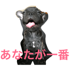 [LINEスタンプ] フレブルMareの日常生活