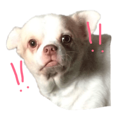 [LINEスタンプ] mooheng