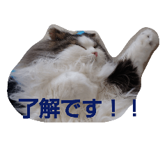 [LINEスタンプ] Scottishfold cat alu