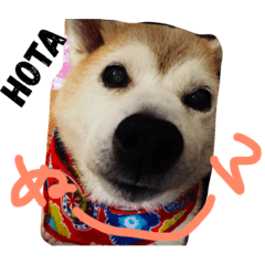 [LINEスタンプ] ほたちゃんのすたんぷ