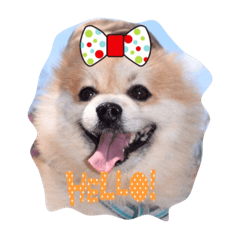 [LINEスタンプ] mintohouse