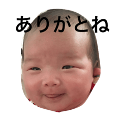 [LINEスタンプ] 犬と杏ちゃんです