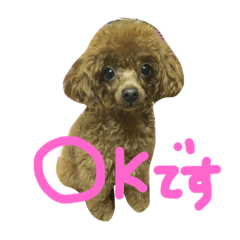 [LINEスタンプ] ヨーキーとプードルとヘビ子