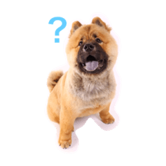 [LINEスタンプ] チャウチャウのリロ