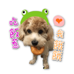 [LINEスタンプ] Puppy Milu's daily