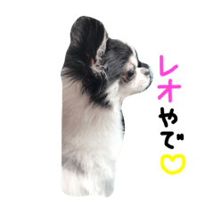[LINEスタンプ] れおくんです