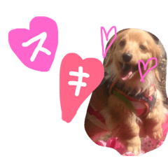 [LINEスタンプ] ダックスフンドほくちゃんの日常