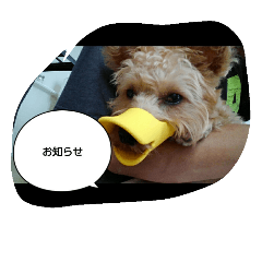[LINEスタンプ] gabugabu-day
