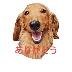 [LINEスタンプ] ぽてぽてスタンプ