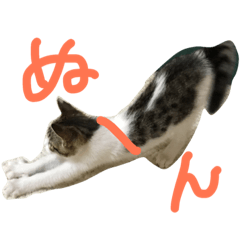 [LINEスタンプ] つくねのスタンぷ