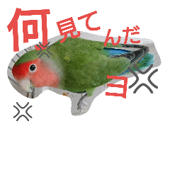 [LINEスタンプ] 私んち