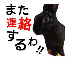 [LINEスタンプ] ひじき君の日常