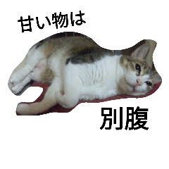[LINEスタンプ] 女王猫チップ