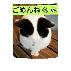 [LINEスタンプ] しょとら