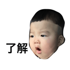 [LINEスタンプ] 生後9ヶ月になりましたあさひさん