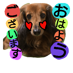 [LINEスタンプ] checolovefamily