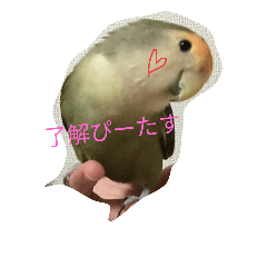 [LINEスタンプ] ぴーたすpart3