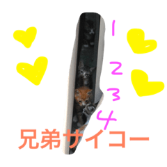 [LINEスタンプ] 野良猫ファミリーの日常2