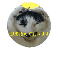 [LINEスタンプ] 猫と大和言葉