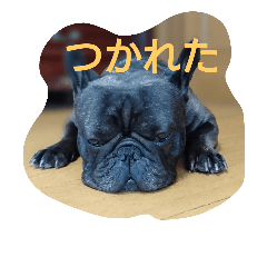 [LINEスタンプ] つねゆき