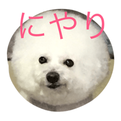 [LINEスタンプ] こころとらら