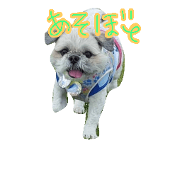 [LINEスタンプ] ザ・なぎさま