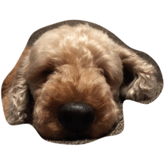 [LINEスタンプ] wonwon FEELING