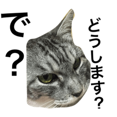 [LINEスタンプ] ナナリアル
