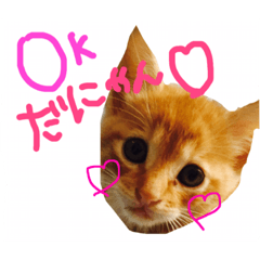 [LINEスタンプ] めろたんです。