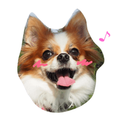 [LINEスタンプ] びーすけ