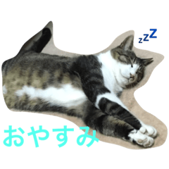 [LINEスタンプ] トラスタンプ