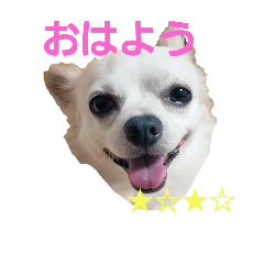 [LINEスタンプ] プリン君のしあわせスタンプ