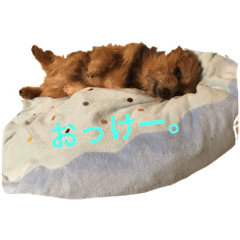 [LINEスタンプ] luke's stanp