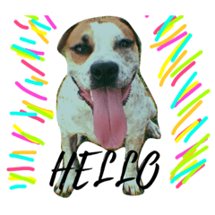 [LINEスタンプ] browniemybaby