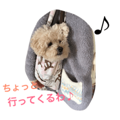 [LINEスタンプ] モカすたんぷ 1