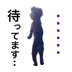 [LINEスタンプ] 変顔トイプーmix犬わさびはペキプー3の画像（メイン）