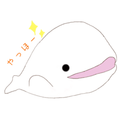 [LINEスタンプ] ベルーガさん。