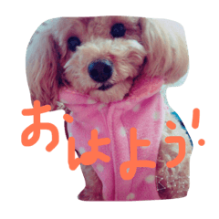 [LINEスタンプ] わが家のララちゃん♪♪