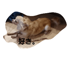 [LINEスタンプ] dog hello