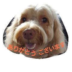 [LINEスタンプ] ティンセル