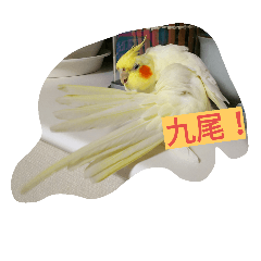 [LINEスタンプ] 我が家のおーちゃん