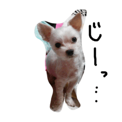 [LINEスタンプ] wanri